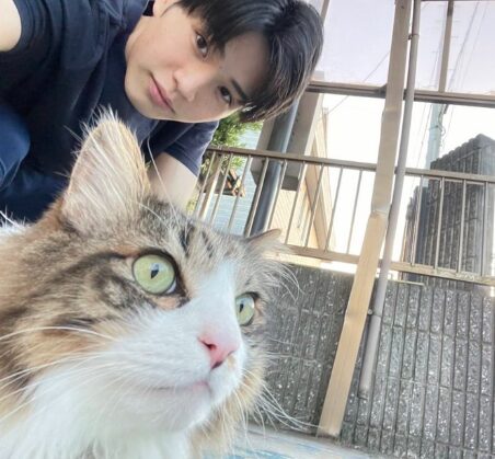 中沢元紀と猫の写真